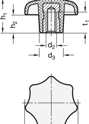 GANTER Poignée en étoile DIN 6336 avec douille filetée ( 4601000862 )