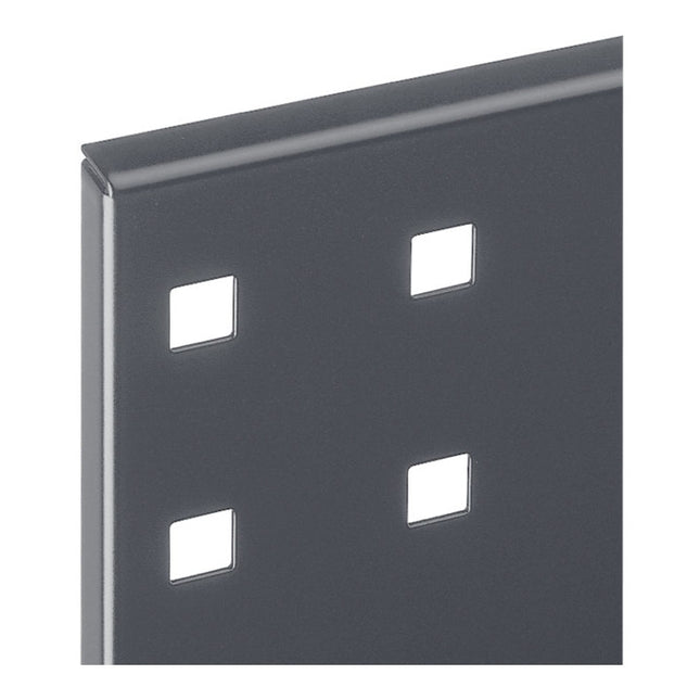 Pannello forato RASTERPLAN L450xL500mm ( 9000428174 )