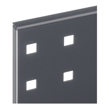 Pannello forato RASTERPLAN L450xL1000mm ( 9000428175 )