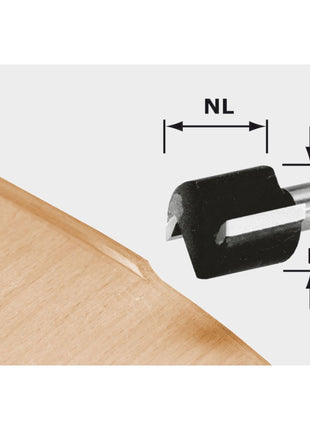 Festool HW D 19/16 S8 OFK 700 Bündigfräser 19 x 16 x 46 x 8 mm ( 491666 ) für Oberfräse OF 1010, OF 1010 R, Kantenfräse OFK 700, MFK 700